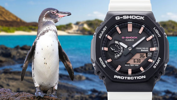 Casio G-SHOCK x GALAPAGOS CHARLES DARWIN FNDN Ana-Digi Mens Watch GAB2100CD-1A7 - Shop at Altivo.com